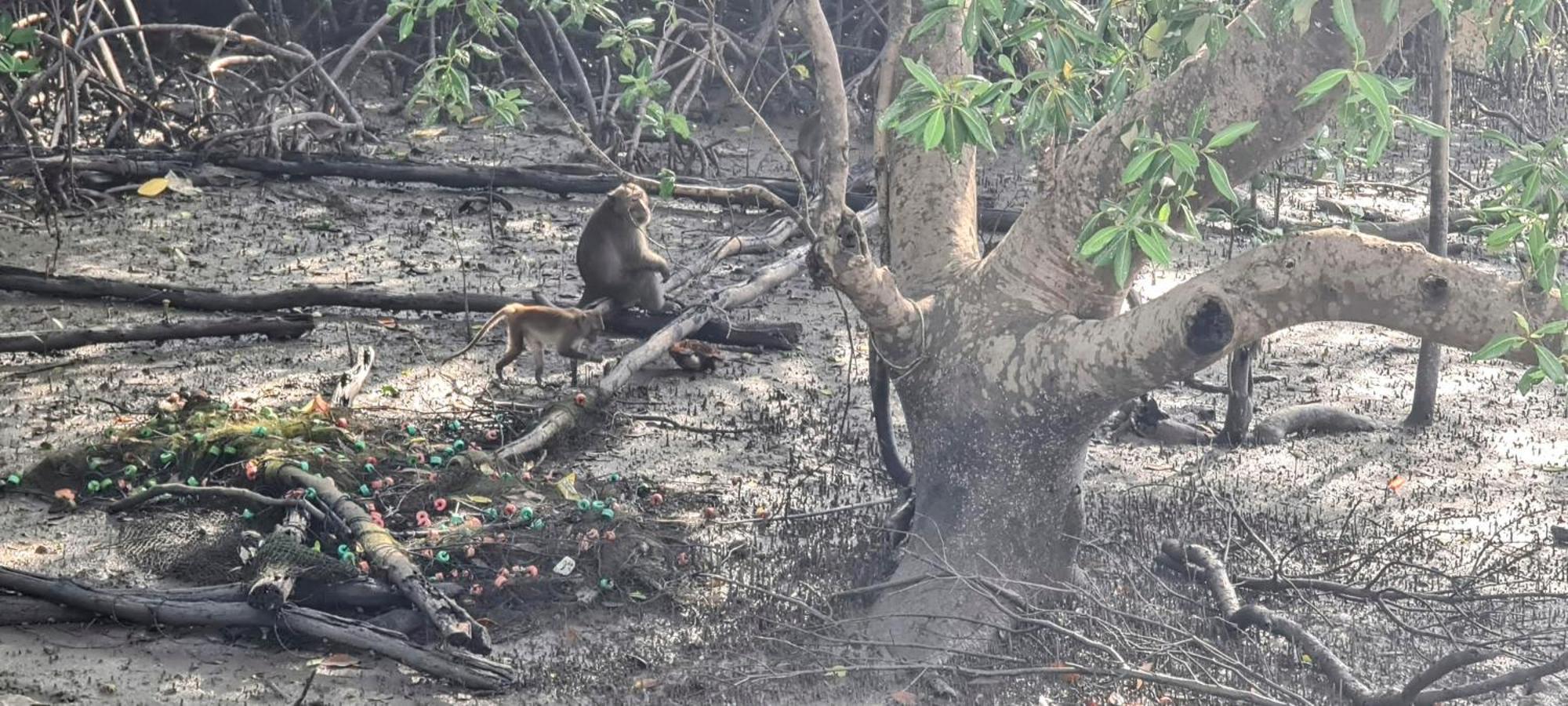 Phang Nga Bay Khanittha Homestay Ban Khiam Buitenkant foto