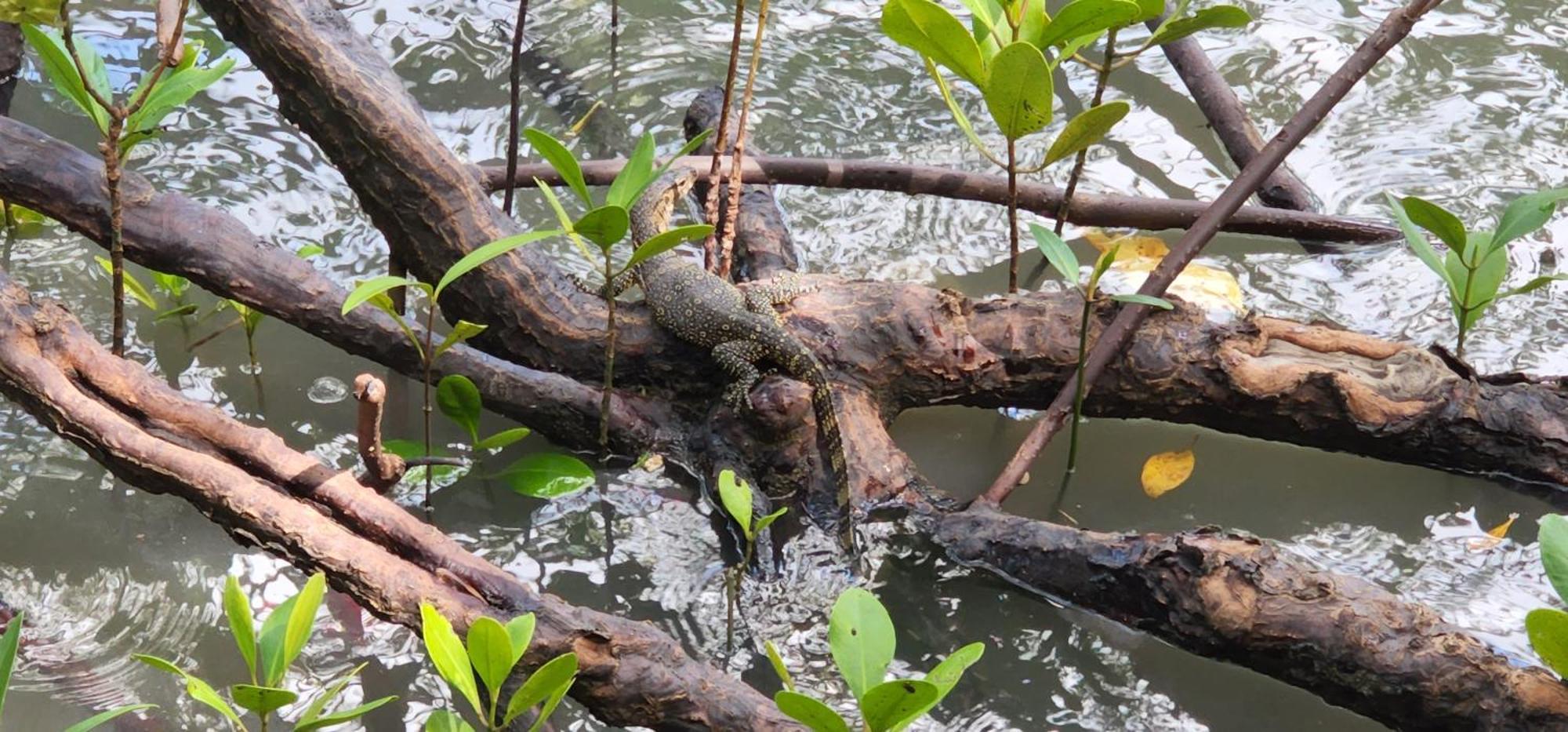 Phang Nga Bay Khanittha Homestay Ban Khiam Buitenkant foto